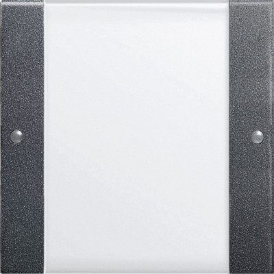 213128 Gira Комплект клавиш, 1 шт.