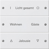 220327 Gira Набор клавиш 3-клав.,  ГРАВИРОВКА