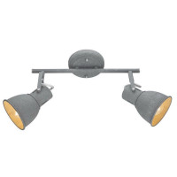 Arte Lamp JOVI, Светильник потолочный, цвет арматуры - Серый, цвет плафона/декора - СЕРЫЙ, 2х40W E14, A1677PL-2GY