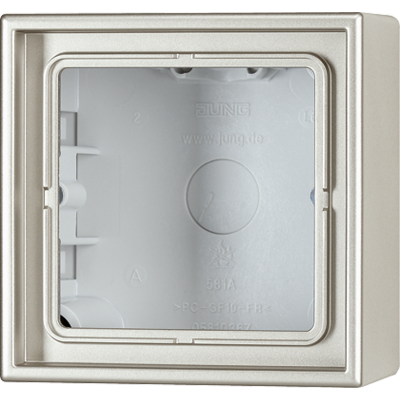 Рамка для вертикальной и горизонтальной установки, 1 пост, накладной монтаж; дюропласт; нержавеющая сталь; Edelstahl, ES2581A-L