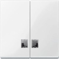 SM Клавиша 2-ная с 2-мя прямоуг. линзами, полярно-бел.