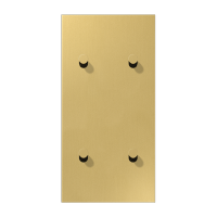 Центральная плата, 2 поста, для вертикальной установки, тумблеры 2+2,конус; металлическое исполнение; латунь классик; серия LS, ME12-25CK25 Центральная плата, 2 поста, для вертикальной установки, тумблеры 2+2,конус; металлическое исполнение; латунь классик; серия LS, ME12-25CK25
