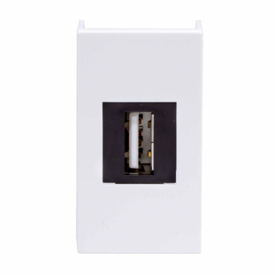 ДКС USB 2.0 розетка, Viva, белая, 1 мод., 42018
