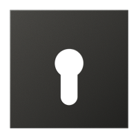 Крышка для выключателя с замком; антрацит, AL2925AN Крышка для выключателя с замком; антрацит, AL2925AN