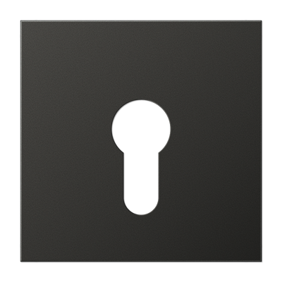 Крышка для выключателя с замком; антрацит, AL2925AN