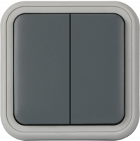 Donel W55 Рамка с клавишей для скрытой установки переключателя двухклавишного, серый, IP55, серия (тип) DIP55 , DIP60840