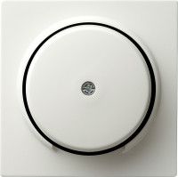 027440 Gira Накладка розетки для подключения средств связи