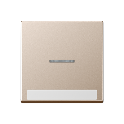 Клавиша с полем для надписи, A590BFNAKO5CH