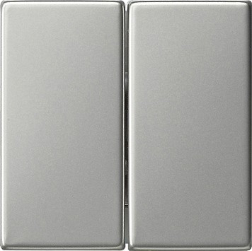 0295600 Gira Клавиша двойная