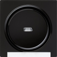 067047 Gira Одинарная клавиша с полем для надписи и подсветкой