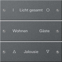 220328 Gira Набор клавиш 3-клав.,  ГРАВИРОВКА