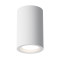 Maytoni Потолочный светильник Conik gyps GU10 1x30Вт, C003CW-01W