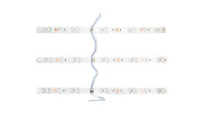 Линейка светодиодная стандарт 2835 12LED/м 14.4Вт/м нейтр. бел. 12В IP20 SWG Standard 00-00007272