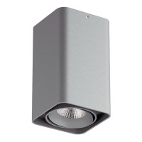 Lightstar 052139-IP65 Светильник MONOCCO LED10W 600LM 30G СЕРЫЙ 4000K (в комплекте)
