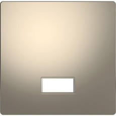 D-Life Клавиша с полем для символа, никель