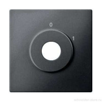 SM Накладка для мех-зма выключателя управл. ключом арт. № SCMTN318599, антрац. SM Накладка для мех-зма выключателя управл. ключом арт. № SCMTN318599, антрац.