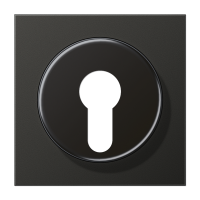 Крышка для выключателя с замком; антрацит, AL2928AN Крышка для выключателя с замком; антрацит, AL2928AN