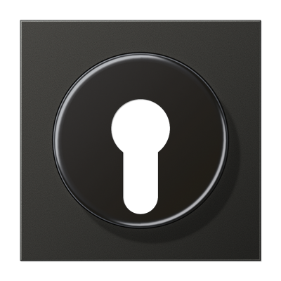 Крышка для выключателя с замком; антрацит, AL2928AN