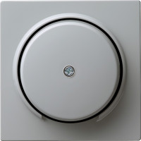 027442 Gira Накладка розетки для подключения средств связи