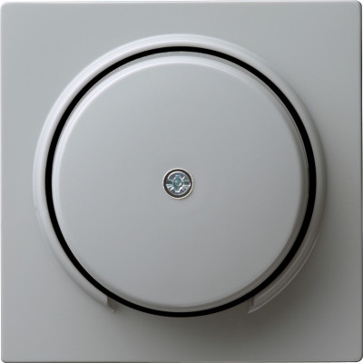 027442 Gira Накладка розетки для подключения средств связи