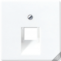 Крышка для одинарных телефонных и компьютерных розеток (UAE), фиксация винтом; термопласт; слоновая кость; A500, A569-1BFPLUA