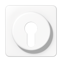 Крышка для выключателя с замком; белая, CD528WW Крышка для выключателя с замком; белая, CD528WW