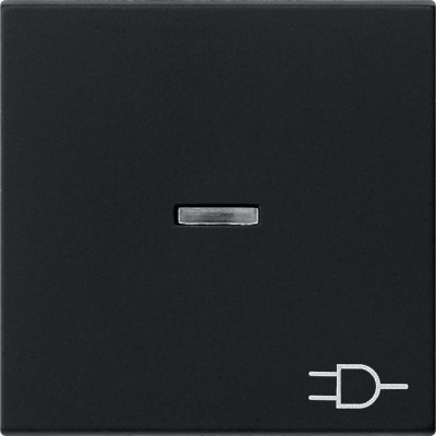 0209005 Gira Клавиша с подсветкой и символом "розетка"