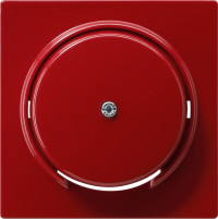 027443 Gira Накладка розетки для подключения средств связи