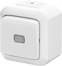 ABB Variant+ Белый Переключатель одноклавишный с прозрачной линзой, IP54