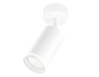Настенно-потолочный поворотный светильник с выключателем 1*GU10, AMBRELLA LIGHT, TA120