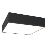 Ceiling & Wall Потолочный светильник, цвет: Черный 27W