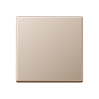 Одинарная клавиша для балансирных механизмов выключателей (кнопок), в комплекте с AS90HP (крепежный элемент), возможно IP44; дюропласт; шампань; A500, A590CH