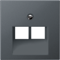 Крышка для сдвоенных телефонных и компьютерных розеток (UAE), фиксация винтом; термопласт; матовый антрацит; A500, A569-2BFPLUAANM
