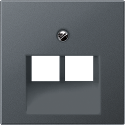 Крышка для сдвоенных телефонных и компьютерных розеток (UAE), фиксация винтом; термопласт; матовый антрацит; A500, A569-2BFPLUAANM