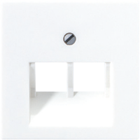 Крышка для сдвоенных телефонных и компьютерных розеток (UAE), фиксация винтом; термопласт; белый; A500, A569-2BFPLUAWW