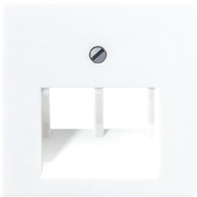 Крышка для сдвоенных телефонных и компьютерных розеток (UAE), фиксация винтом; термопласт; белый; A500, A569-2BFPLUAWW