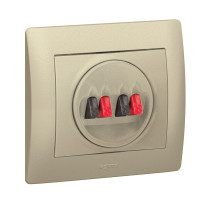 Legrand Лицевая панель - Galea Life - для двойной розетки для колонки - Кат. № 7 757 84 - Titanium, 771425