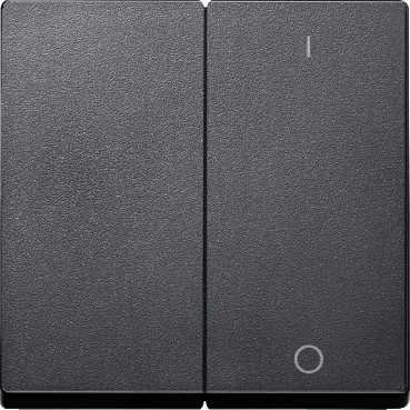 SM Клавиша 2-ная для мех-зма арт. № SCMTN312000 с символами ( I/O), антрац.