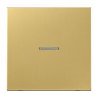 Клавиша для KNX кнопки, 1 группа, с окошком; металл; латунь Classic, ME101KO5C Клавиша для KNX кнопки, 1 группа, с окошком; металл; латунь Classic, ME101KO5C