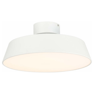 Evoluce SLE600252-01 Светильник потолочный Белый/Белый LED 1*30W 3000K