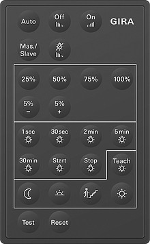 237300 Gira Инфракрасный пульт
