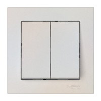 ATN000452S - ATLASDESIGN 2-клавишный ВЫКЛЮЧАТЕЛЬ, сх.5, 10АХ, в сборе, быстрозажим. клем., ЖЕМЧУГ, Systeme Electric