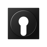 Накладка на выключатель замочного механизма; термопласт; черный матовый, A528PLSWM