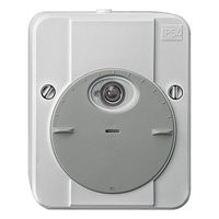 СУМЕРЕЧНЫЙ ДАТЧИК ARGUS, 2300ВА, 230В, С ЗАДЕРЖКОЙ ВРЕМЕНИ, IP54, ЦВЕТ СВЕТЛО-СЕ