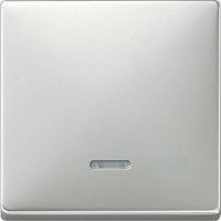 SD Клавиша 1-ная с линзой, стальн.