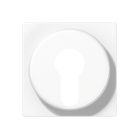 Крышка для выключателя с замком; белый, A528PLWW Крышка для выключателя с замком; белый, A528PLWW