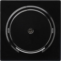 027447 Gira Накладка розетки для подключения средств связи