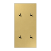 Центральная плата, 2 поста, для вертикальной установки, тумблеры 2+2, цилиндр; металл; латунь classic; LS1912, ME12-25CR25