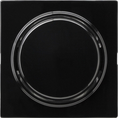 012747 Gira Переключатель с клавишей