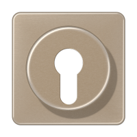 Крышка для выключателя с замком; золотая бронза, CD528GB Крышка для выключателя с замком; золотая бронза, CD528GB